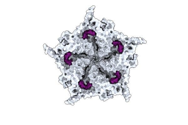 06sci-ai-virus-map-tbjh-articlel-1786415322487109283365-1786427801822-17864278020201953277840 Khám Phá Công Nghệ AI Trong Thiết Kế Vi-Rút Sinh Học: Cơ Hội Hay Nguy Cơ? - Ảnh 1.