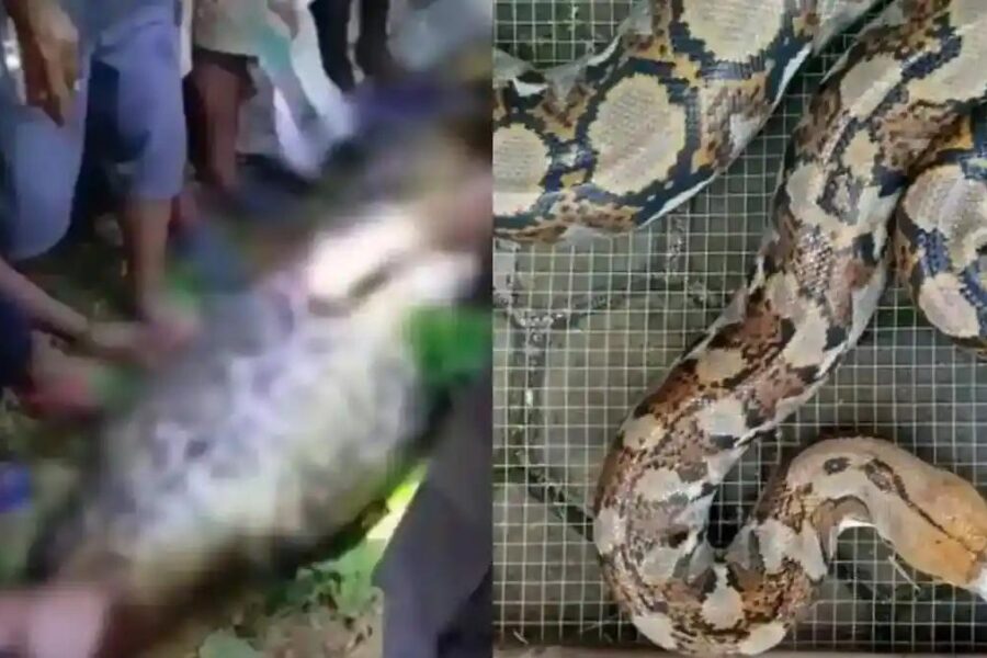 Thảm Kịch Kinh Hoàng Tại Indonesia: Cuộc Tìm Kiếm Người Đàn Ông Mất Tích Sau Khi Khiêu Vũ