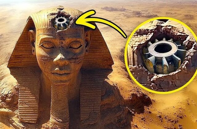 Bí ẩn Tượng nhân sư Giza: những manh mối địa chất và dấu vết kiến trúc tiết lộ gì?